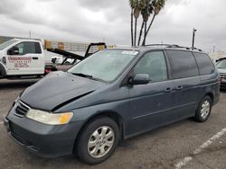 Honda Odyssey exl salvage cars for sale: 2004 Honda Odyssey EXL