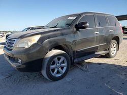 Salvage cars for sale at West Palm Beach, FL auction: 2013 Lexus GX 460