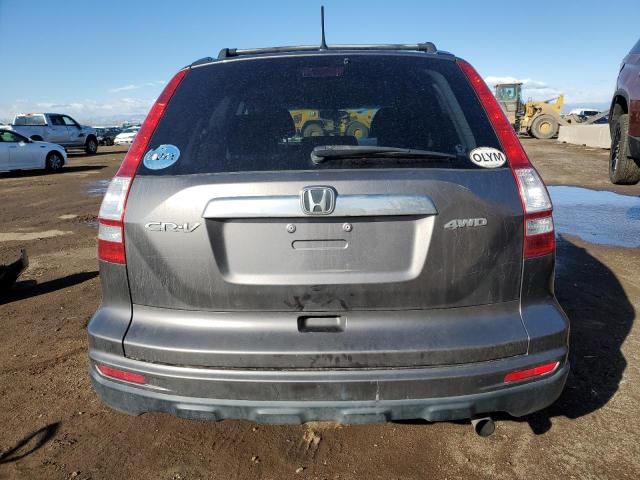 2010 Honda CR-V EX