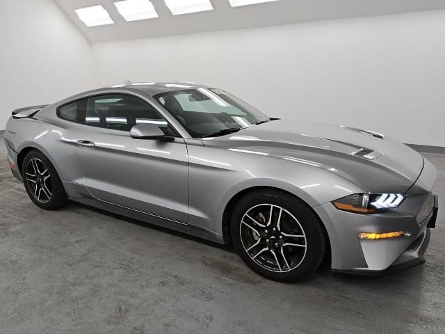 2023 Ford Mustang