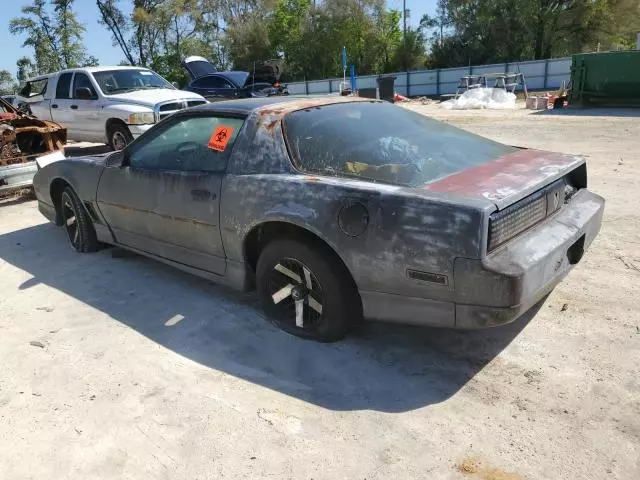 1989 Pontiac Firebird Trans AM