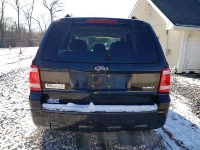 2008 Ford Escape XLT