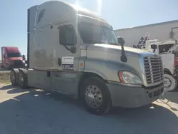 Freightliner Cascadia 125 Vehiculos salvage en venta: 2013 Freightliner Cascadia 125