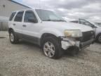 2007 Ford Escape XLT