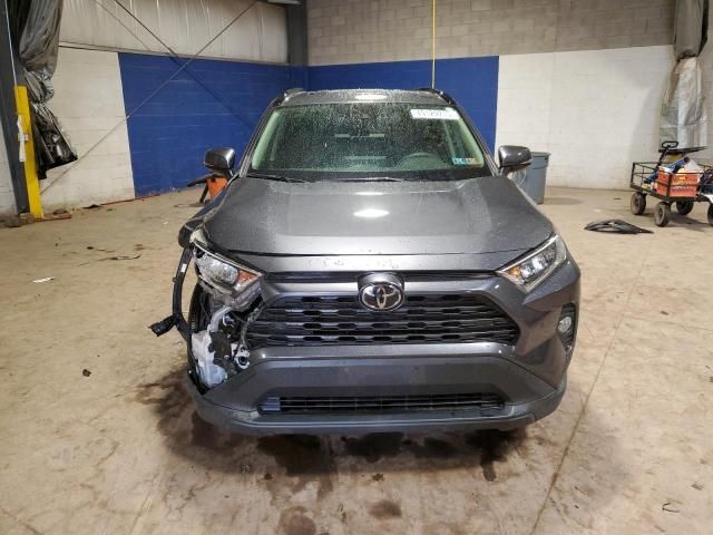 2019 Toyota Rav4 XLE