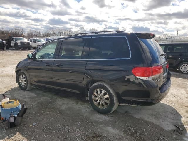 2008 Honda Odyssey EXL