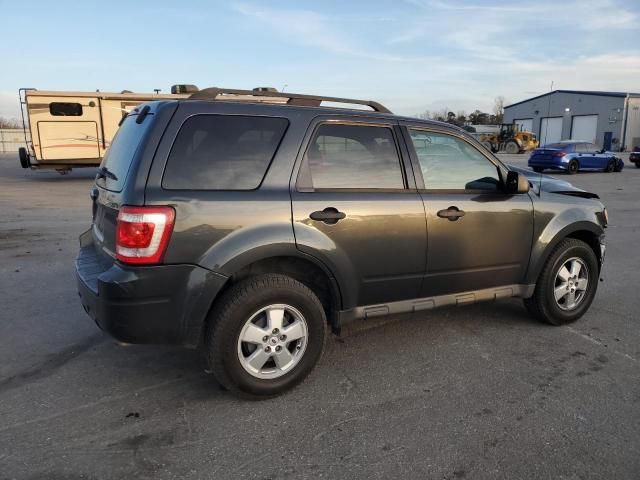 2009 Ford Escape XLT