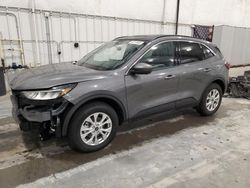 Salvage cars for sale at Avon, MN auction: 2024 Ford Escape Active