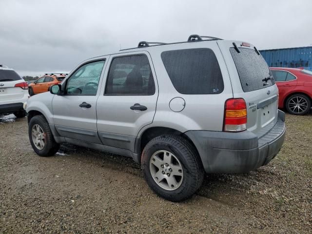 2005 Ford Escape XLT