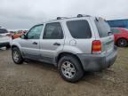 2005 Ford Escape XLT