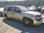 2006 Chevrolet Trailblazer LS