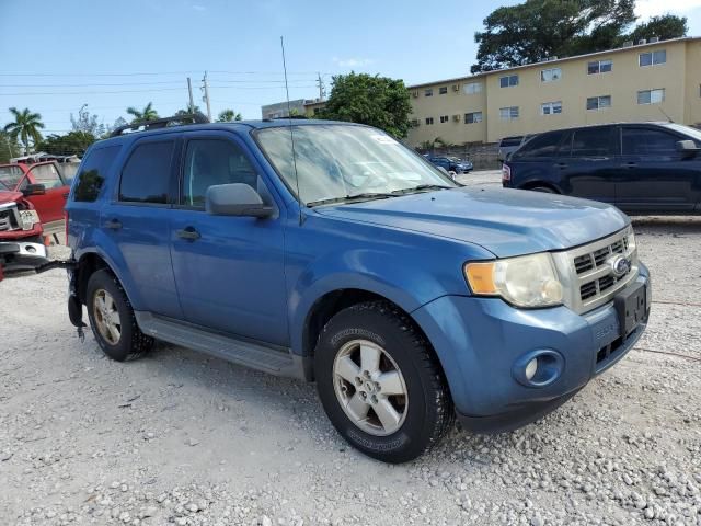 2010 Ford Escape XLT