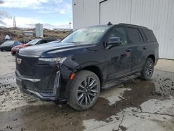 Salvage cars for sale at Reno, NV auction: 2023 Cadillac Escalade Sport