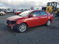 2010 Toyota Corolla Base en venta en Eugene, OR