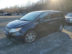 Salvage cars for sale at Marlboro, NY auction: 2013 Honda Odyssey EXL