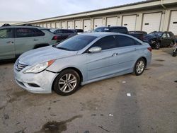 2014 Hyundai Sonata GLS en venta en Louisville, KY