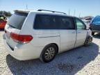 2008 Honda Odyssey EXL