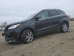 Salvage cars for sale at Baltimore, MD auction: 2013 Ford Escape SEL