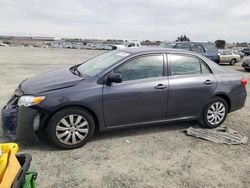 Salvage cars for sale at Antelope, CA auction: 2013 Toyota Corolla Base