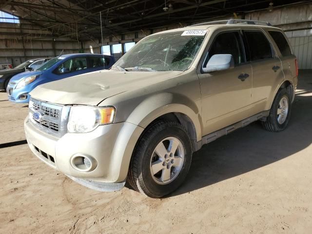 2011 Ford Escape XLS