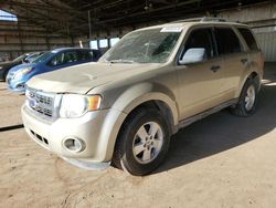 Carros salvage a la venta en subasta: 2011 Ford Escape XLS