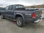 2004 Dodge Dakota Quad SLT