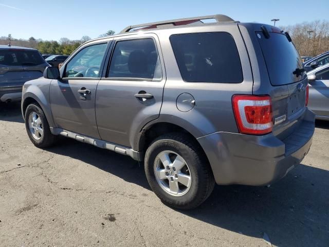 2009 Ford Escape XLT