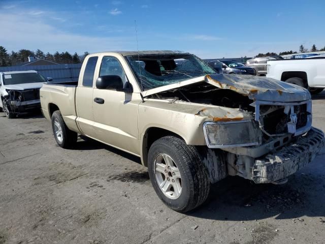 2011 Dodge Dakota SLT