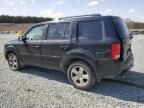 2010 Honda Pilot EXL