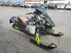 Salvage motorcycles for sale at Fort Wayne, IN auction: 2019 Afwv Wildcat