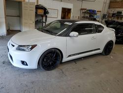 Salvage cars for sale at Ham Lake, MN auction: 2013 Scion TC