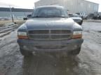 2003 Dodge Dakota Quad Sport