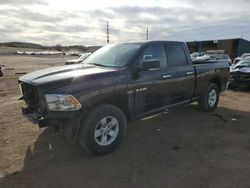 Salvage cars for sale at Colorado Springs, CO auction: 2010 Dodge RAM 1500