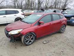 Salvage cars for sale from Copart Cicero, IN: 2014 Ford Focus SE