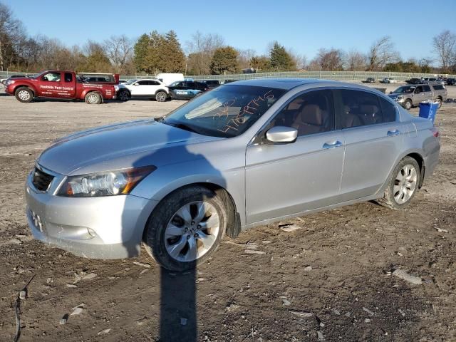 2010 Honda Accord EXL