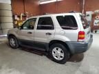 2004 Ford Escape XLT