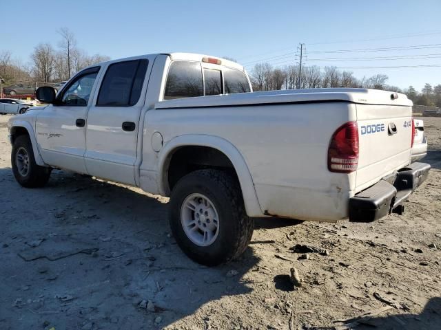 2000 Dodge Dakota Quattro