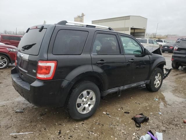 2011 Ford Escape Limited