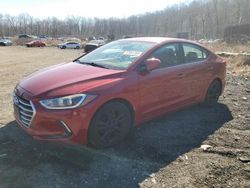 Salvage cars for sale at Baltimore, MD auction: 2017 Hyundai Elantra SE