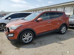 Salvage cars for sale at Louisville, KY auction: 2013 Hyundai Santa FE Sport