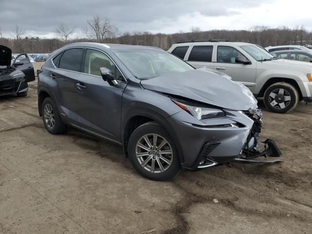 2019 Lexus NX 300H