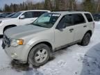 2009 Ford Escape XLT