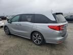 2020 Honda Odyssey Elite