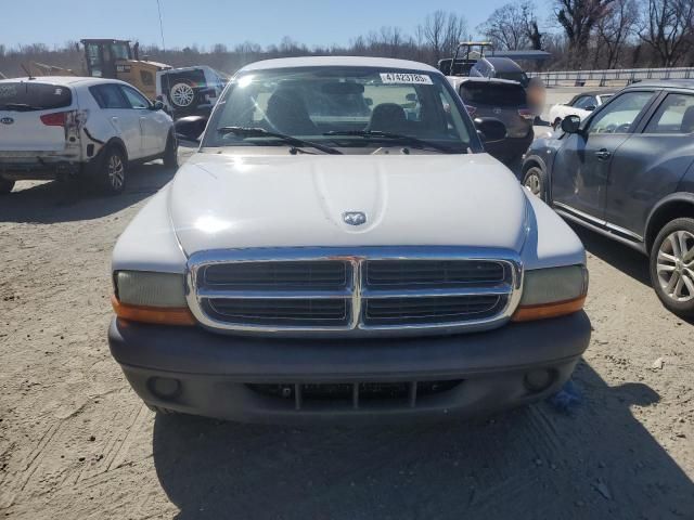 2004 Dodge Dakota SXT