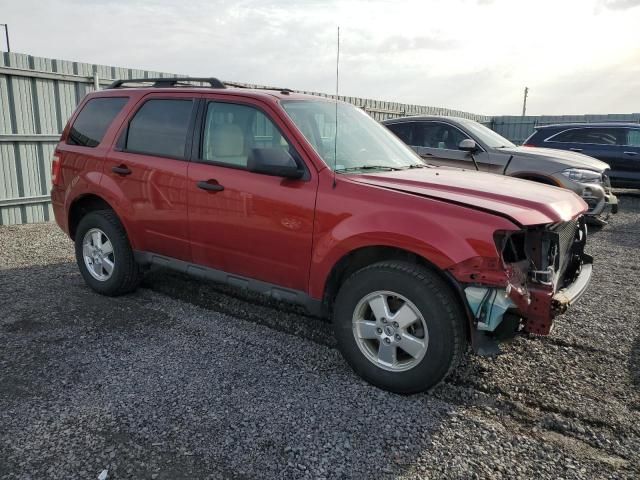 2012 Ford Escape XLT