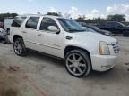 2010 Cadillac Escalade Premium