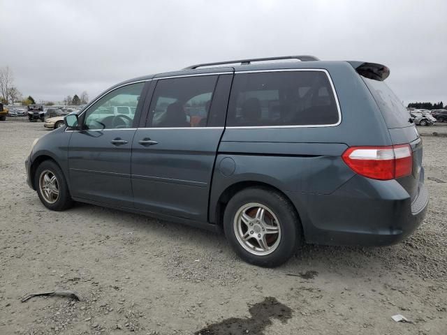 2005 Honda Odyssey EXL