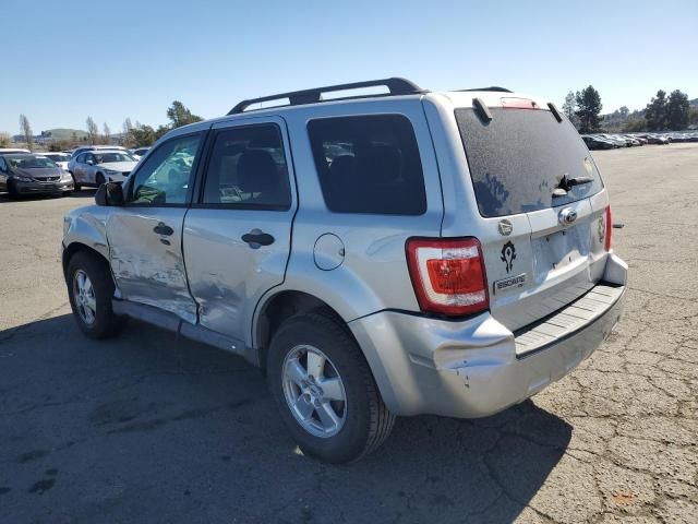 2009 Ford Escape XLT