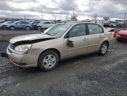 Salvage cars for sale at Eugene, OR auction: 2005 Chevrolet Malibu LS