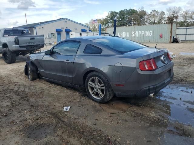 2010 Ford Mustang